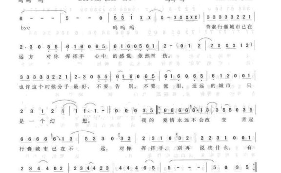胡慧中-城市行囊