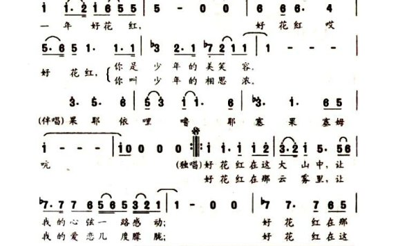 苏红-好花红