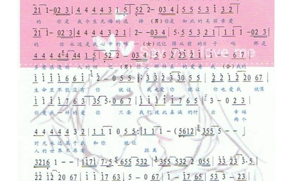 郑源-有情人终成眷属