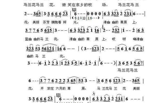 阿丽玛-马兰花(阿丽玛)