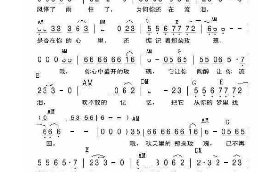 陈瑞-秋天的玫瑰