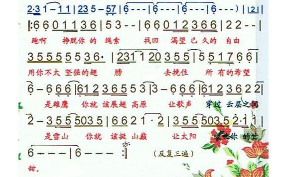 黑鸭子-雪域光芒