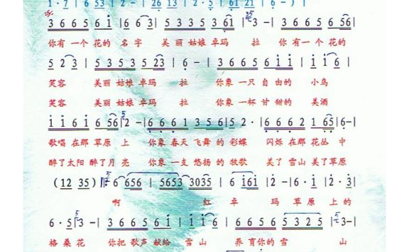 黑鸭子-卓玛