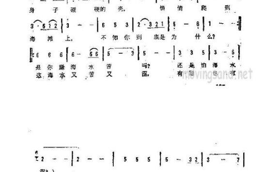 儿歌-回去吧小海螺