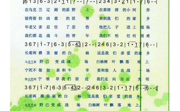 歌手-在乌克兰辽阔的原野上