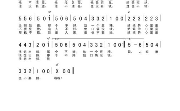 歌手-爱挑剔的大姑娘