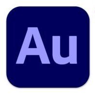 专业音频编辑软件 Adobe Audition 2025 v25.6.4