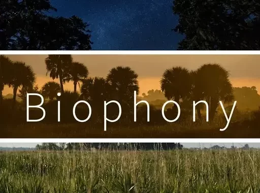 【大自然环境氛围音效采样包】Pro Sound – Effects Biophony 资源下载