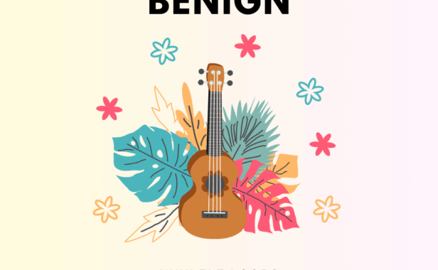 尤克里里循环采样 Mystic Alankar Benign Ukulele Loops WAV