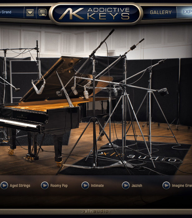 经典键盘钢琴 XLN Audio Addictive Keys Complete v1.7.3.2 R2R Win