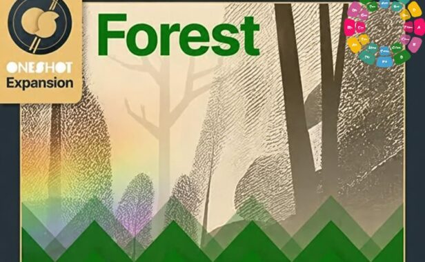拓展音源 Klevgrand Forest One Shot Sound Pack