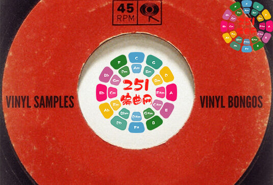 黑胶小鼓 Past to Future Reverbs Vinyl Bongos