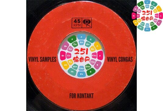 康加鼓 Past to Future Reverbs Vinyl Congas