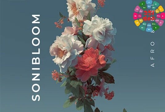 打击乐素材 Zenhiser Sonibloom WAV