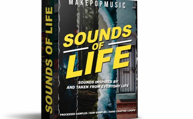 生命之声 Make Pop Music Sounds of Life WAV