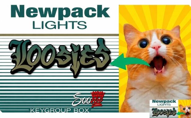 拓展音源 Soo100 Loosies Newpack Akai MPC Expansion