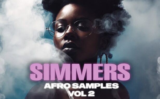 节奏布鲁斯(R&B)旋律 Dik3l Sounds Simmers Vol 2 Afro Samples WAV MiDi