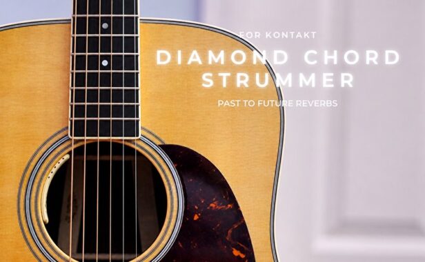 木吉他扫弦 Past to Future Reverbs Diamond Guitar Chord Strums (Martin)
