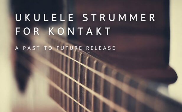 尤克里里 Past to Future Reverbs Ukulele Strummer