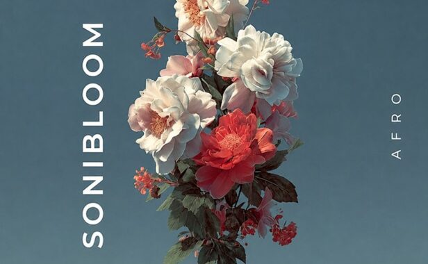 打击乐素材 Zenhiser Sonibloom WAV